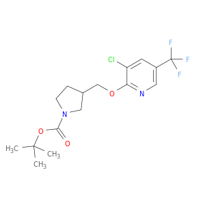 3-(3-氯-5-三氟甲基-吡啶-2-基氧基甲基)-吡咯烷-1-羧酸叔丁基酯