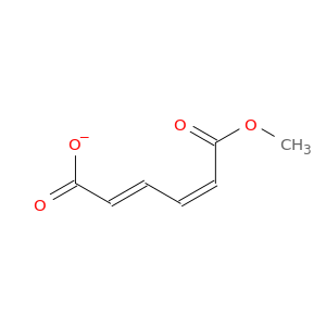 2,4-Hexadienedioic acid, monomethyl ester, (Z,E)-