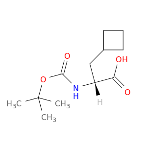 N-叔丁氧羰基-d-环丁基丙氨酸