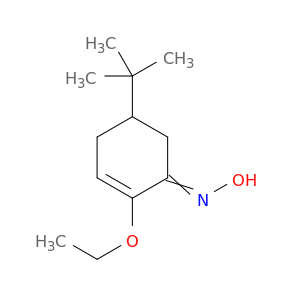 2-Cyclohexen-1-one, 5-(1,1-dimethylethyl)-2-ethoxy-, oxime
