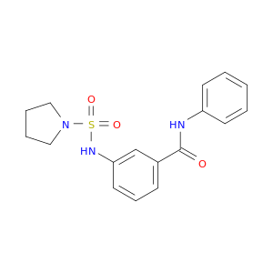Benzamide, N-phenyl-3-[(1-pyrrolidinylsulfonyl)amino]-