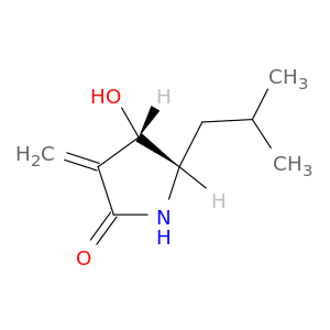 2-Pyrrolidinone, 4-hydroxy-3-methylene-5-(2-methylpropyl)-, (4S,5S)-