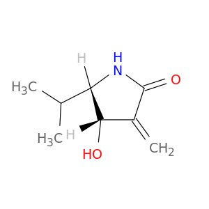 2-Pyrrolidinone, 4-hydroxy-3-methylene-5-(1-methylethyl)-, (4S,5S)-