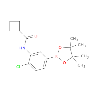 4-氯-3-(环丁基甲酰氨基)苯硼酸频那醇酯