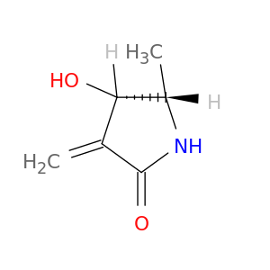 2-Pyrrolidinone, 4-hydroxy-5-methyl-3-methylene-, (4S,5S)-