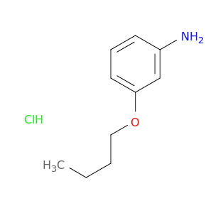 3-butoxyaniline hydrochloride