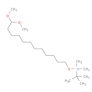 Silane, [(12,12-dimethoxydodecyl)oxy](1,1-dimethylethyl)dimethyl-