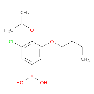 B-[3-丁氧基-5-氯-4-(1-甲基氧基)苯基]硼酸