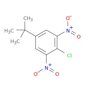 2-氯-5-(1,1-二甲基乙基)-1,3-二硝基苯