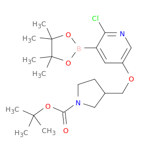 叔丁基3-((6-氯-5-(4,4,5,5-四甲基-1,3,2-二氧杂硼烷-2-基)吡啶-3-基氧基)甲基)吡咯烷-1-羧酸盐