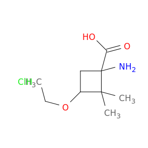 1-amino-3-ethoxy-2,2-dimethylcyclobutane-1-carboxylic Acid Hydrochloride