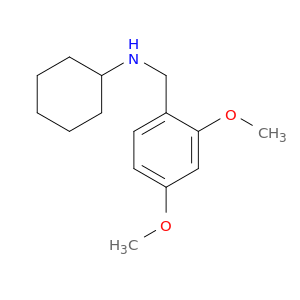 N-(2,4-DIMETHOXYBENZYL)CYCLOHEXANAMINE