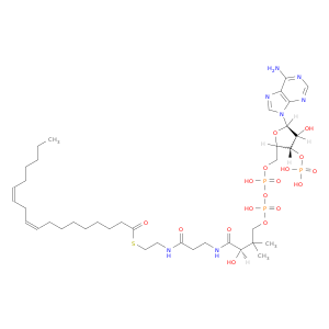 Coenzyme A,S-(9Z,12Z,15Z)-9,12,15-octadecatrienoate