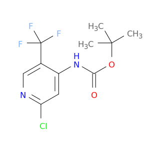 叔-丁基 (2-氯-5-(三氟甲基)吡啶-4-基)氨基甲酯