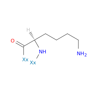 聚(D-赖氨酸),SRU
