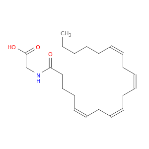 N-花生四烯酰基甘氨酸
