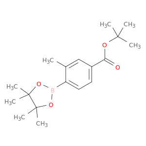 3-甲基-4-(4,4,5,5-四甲基-1,3,2-二氧硼烷-2-基)苯甲酸叔丁酯