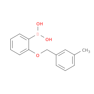 2-(3-甲基苄氧基)苯基硼酸