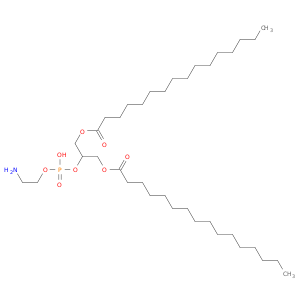 1,3-Dipalmitoyl-glycero-2-phosphoethanolamine