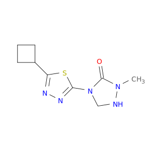 1,2,4-Triazolidin-3-one, 4-(5-cyclobutyl-1,3,4-thiadiazol-2-yl)-2-methyl-