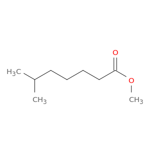 Isooctanoic acid, methyl ester (9CI)