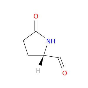 5-OXOPROLINAL