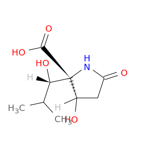 L-Proline, 3-hydroxy-2-[(1S)-1-hydroxy-2-methylpropyl]-5-oxo-, (3S)-