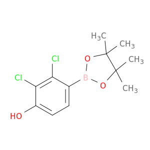2,3-二氯-4-羟基苯硼酸频那醇酯