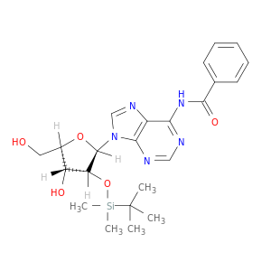 N6-苯甲酰基-2'-O-(叔丁基二甲基硅烷基)腺苷