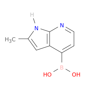 (2-甲基-1H-吡咯并[2,3-b]吡啶-4-基)硼酸