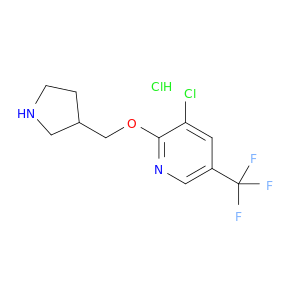 3-氯-2-(吡咯烷-3-基甲氧基)-5-三氟甲基-吡啶盐酸盐