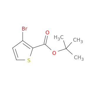 2-Thiophenecarboxylic acid, 3-bromo-, 1,1-dimethylethyl ester