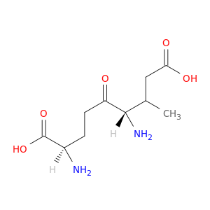Butanoic acid,(R)-3-methyl-L-a-glutamyl-L-2-amino-(9CI)