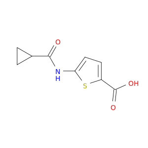5-cyclopropaneamidothiophene-2-carboxylic Acid