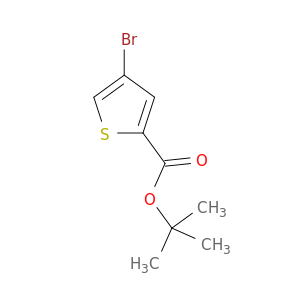 1,1-二甲基乙基4-溴-2-噻吩羧酸盐