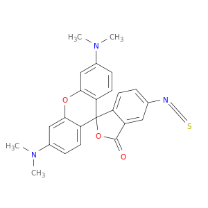 四甲基罗丹明-5-异硫氰酸