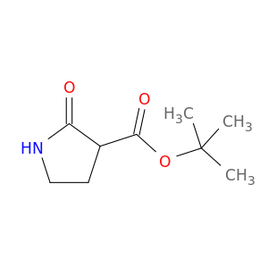 3-Pyrrolidinecarboxylic acid, 2-oxo-, 1,1-dimethylethyl ester