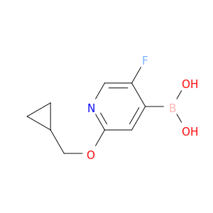 2-(Cyclopropylmethoxy)-5-fluoropyridine-4-boronic acid