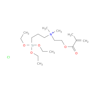 1-丙氨酸,N,N-二甲基-N-[2-[(2-甲基-1-氧代-2-丙烯-1-基)氧]乙基]-3-(三乙氧基甲硅烷基)-氯化物(1：1)