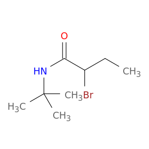2-Bromo-N-(tert-butyl)butanamide