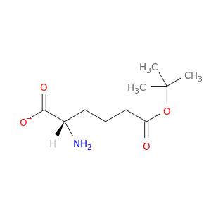 (S)-2-氨基己二酸 6-叔丁酯