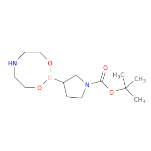 3-(四氢-4H-1,3,6,2-二氧杂氮杂环硼辛烷-2-基)-1-吡咯烷羧酸叔丁酯