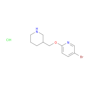 5-溴-2-(哌啶-3-基甲氧基)-吡啶盐酸盐