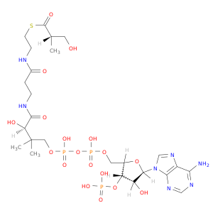 辅酶A,S-[(2S)-3-羟基-2-甲基丙醇]
