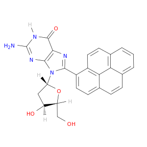 Guanosine, 2'-deoxy-8-(1-pyrenyl)-