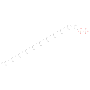 [hydroxy-[(6E,10E,14E,18E,22E,26E,30E,34E,38E)-3,7,11,15,19,23,27,31,35,39,43-undecamethyltetratetraconta-6,10,14,18,22,26,30,34,38,42-decaenoxy]phosphoryl]oxyphosphonic acid