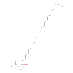 Hexacosanoic acid,2,3-dihydroxy-, (R*,R*)- (9CI)