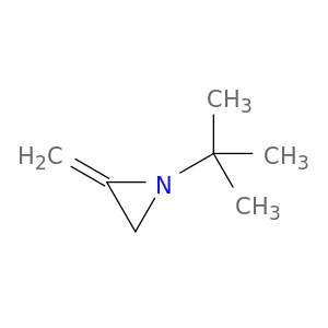 1-tert-butyl-2-methyleneaziridine