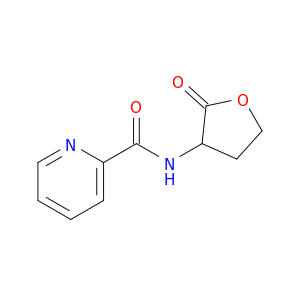 N-(2-OXOTETRAHYDRO-3-FURYL)PICOLINAMIDE