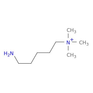 1-Pentanaminium, 5-amino-N,N,N-trimethyl-